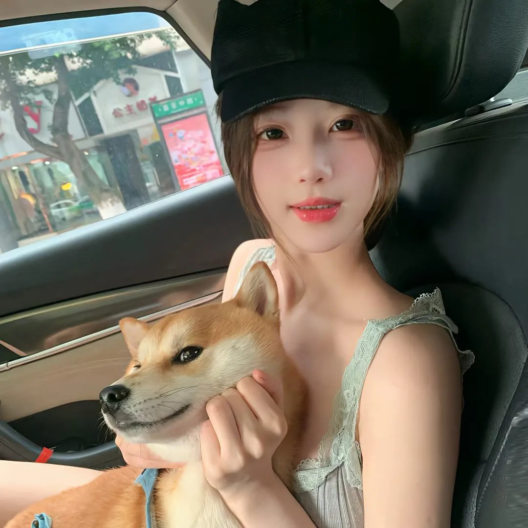 中央公园第三季